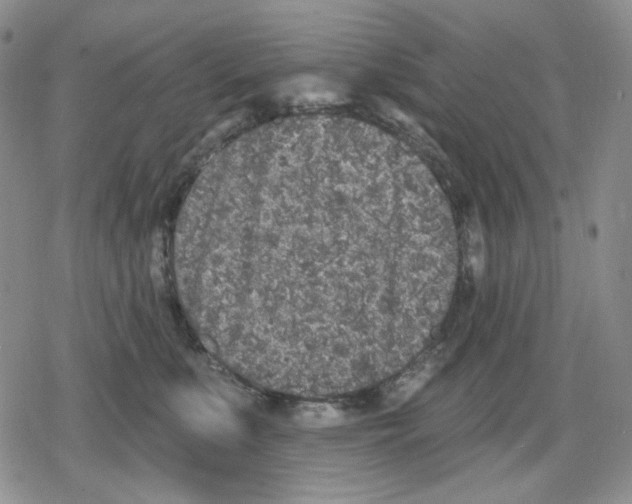 X0000079310519200612151755