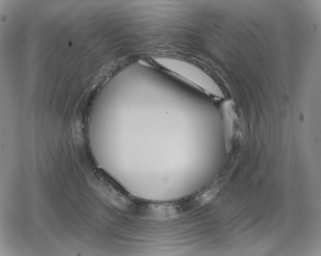 X0000079310520200612151755