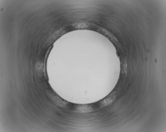 X0000079310521200612151755