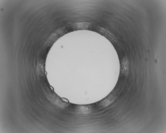 X0000079310522200612151755