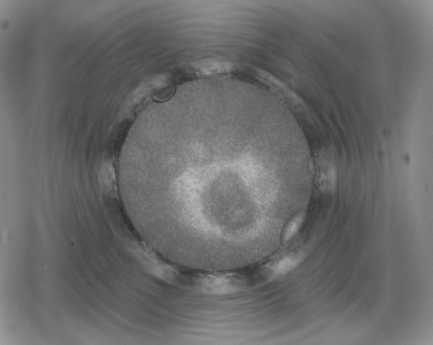 X0000079310523200612151755