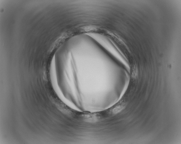 X0000079310524200612151755