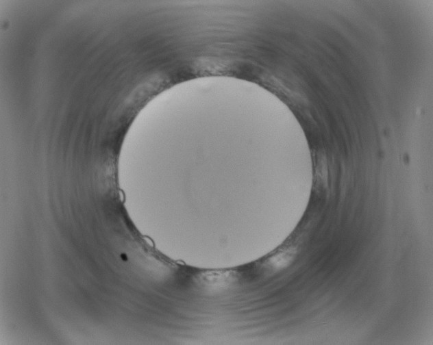 X0000079310526200612151755