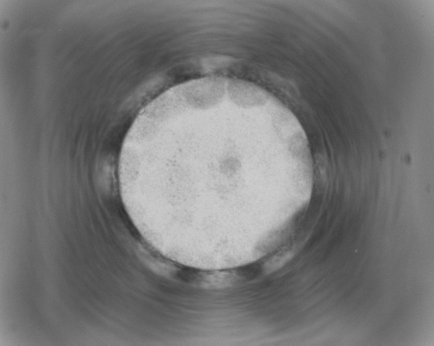 X0000079310527200612151755