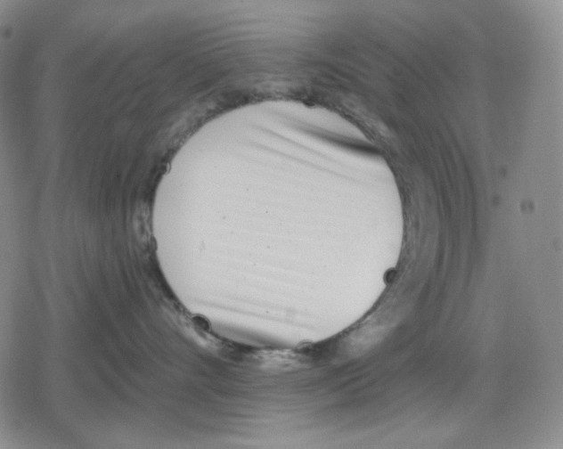 X0000079310528200612151755