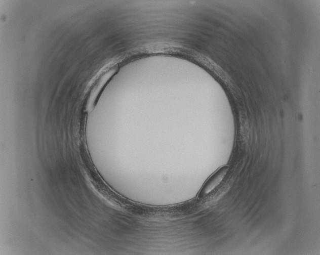 X0000079310530200612151754