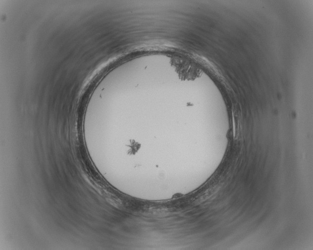 X0000079310531200612151754