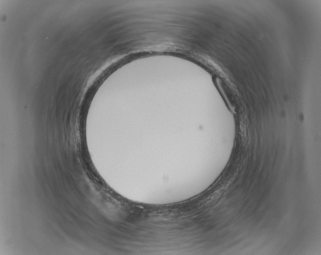 X0000079310532200612151754