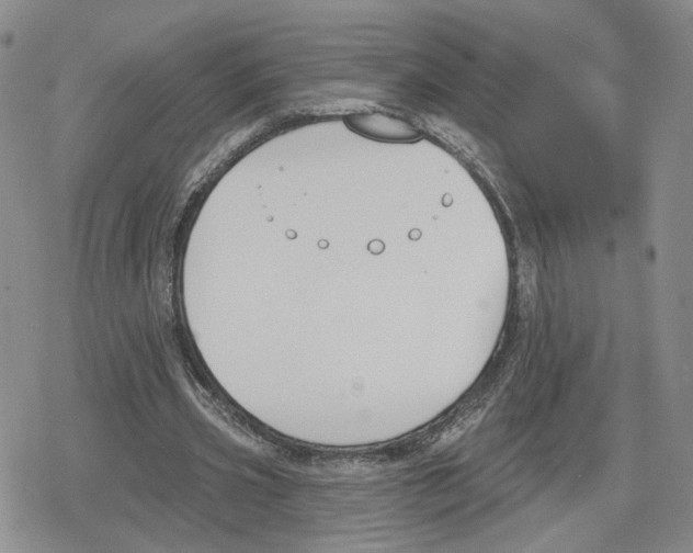 X0000079310533200612151754