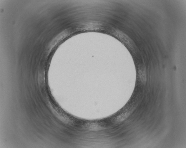 X0000079310534200612151754