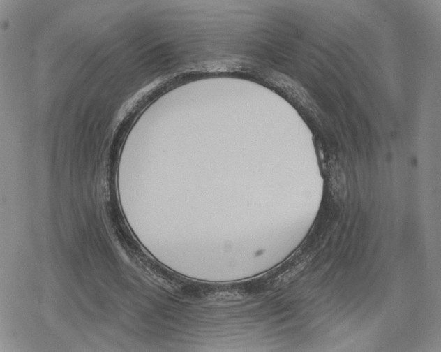 X0000079310536200612151754