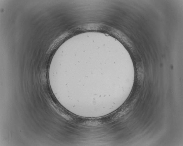 X0000079310537200612151754