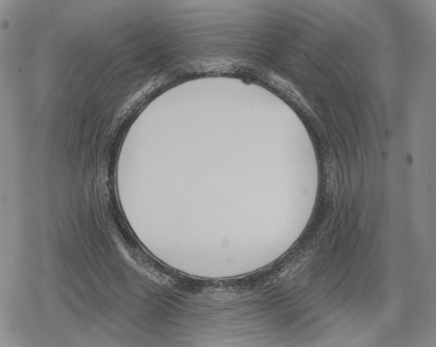 X0000079310538200612151754