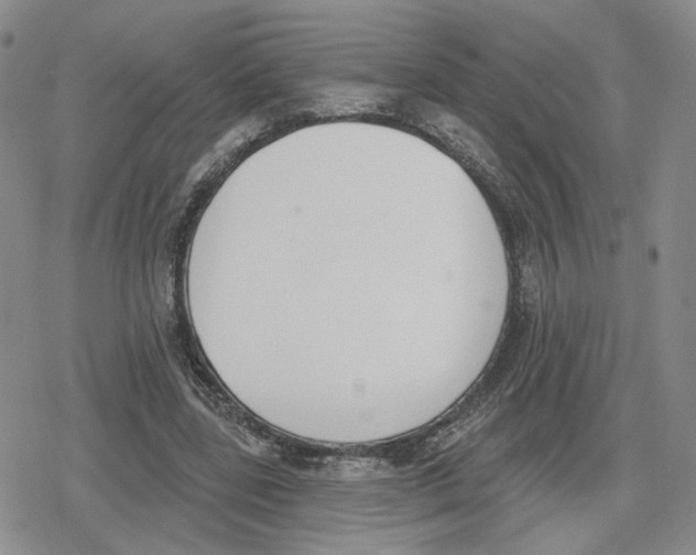 X0000079310539200612151754