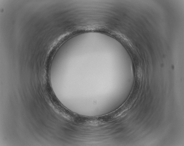 X0000079310540200612151754