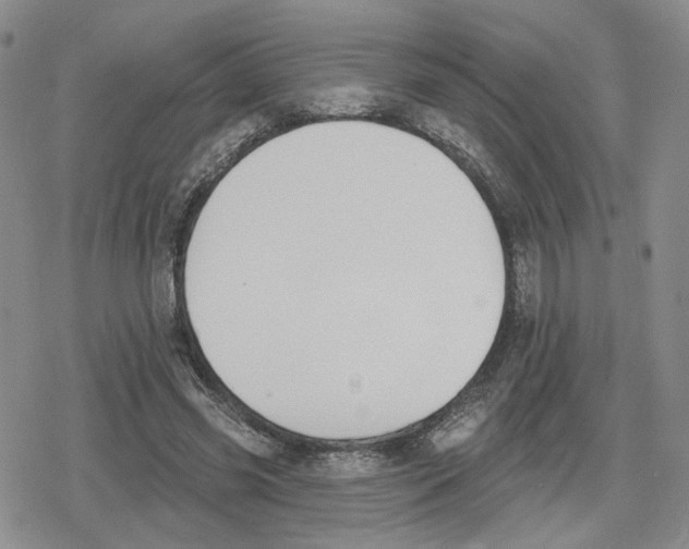 X0000079310541200612151754