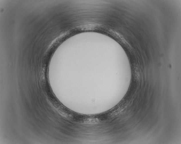 X0000079310543200612151755