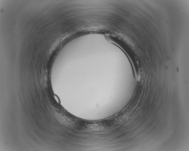 X0000079310544200612151755