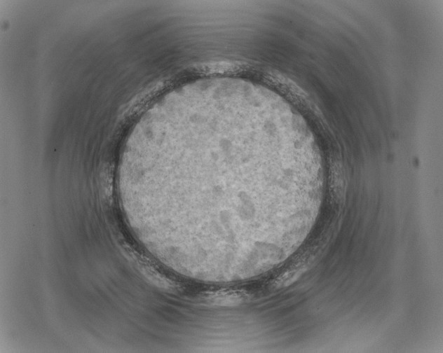 X0000079310545200612151755