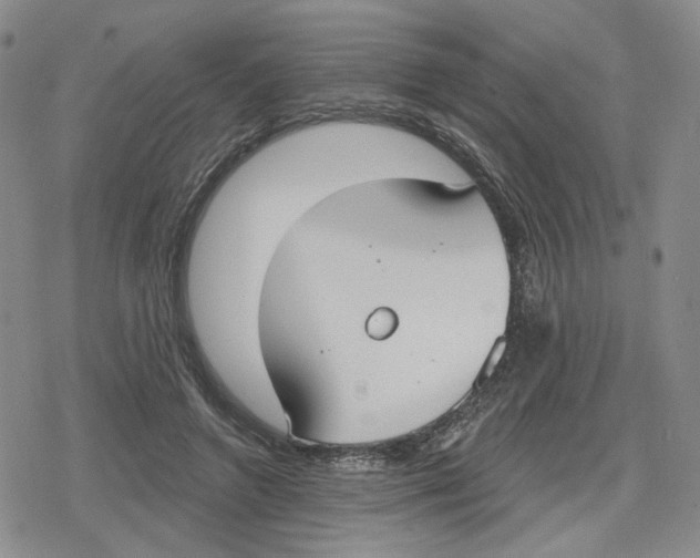 X0000079310546200612151755