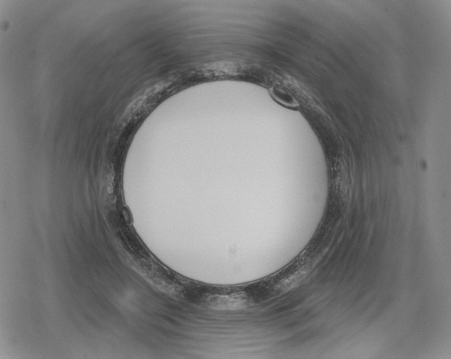 X0000079310548200612151755