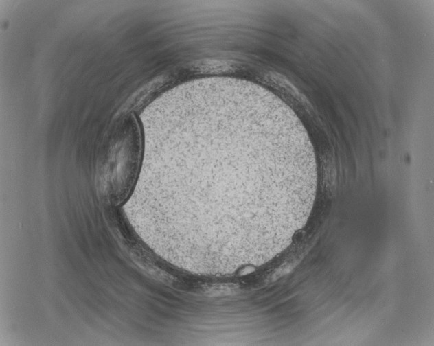 X0000079310549200612151755