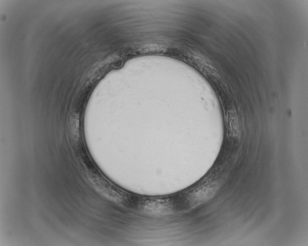 X0000079310550200612151755