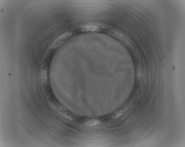 X0000079310551200612151755