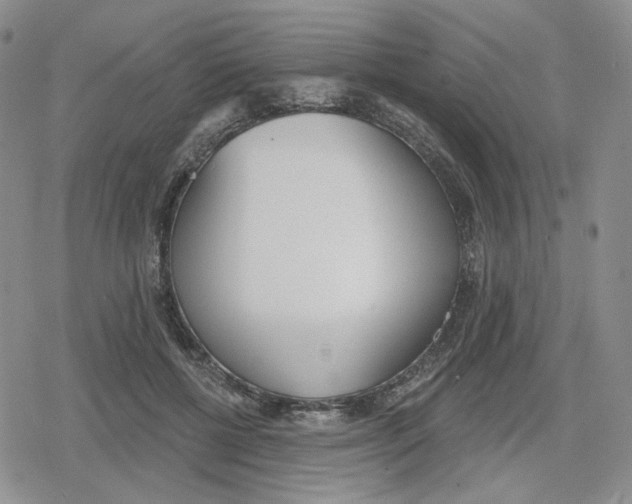 X0000079310552200612151755