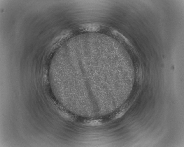 X0000079310553200612151755