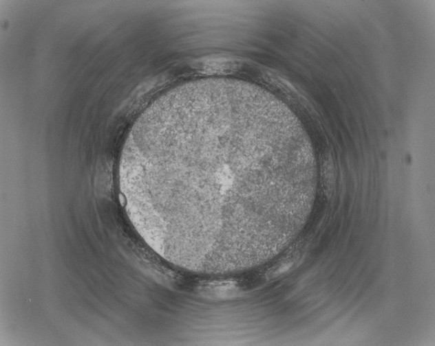 X0000079310554200612151755