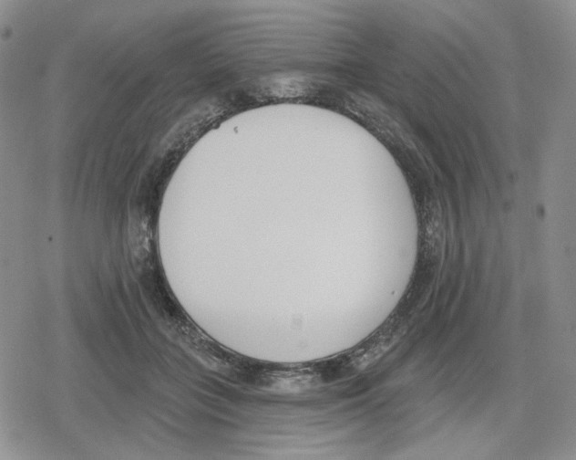 X0000079310555200612151755