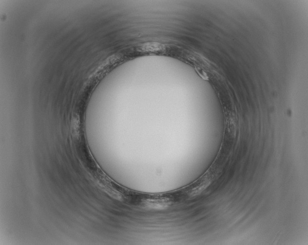 X0000079310556200612151755