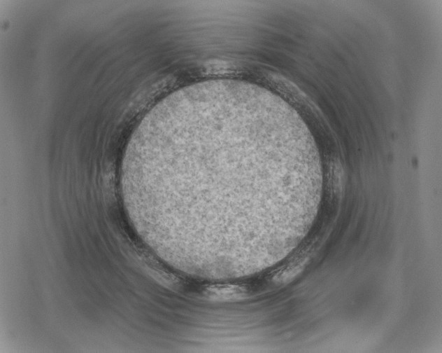 X0000079310557200612151755