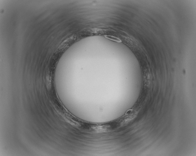 X0000079310558200612151755