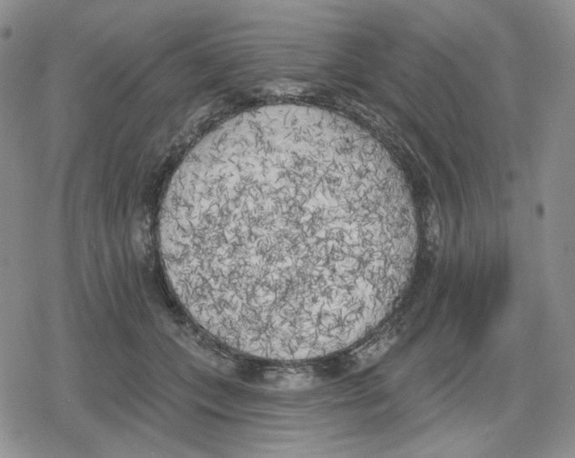 X0000079310559200612151755