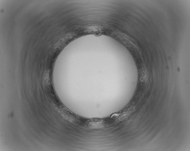 X0000079310560200612151755