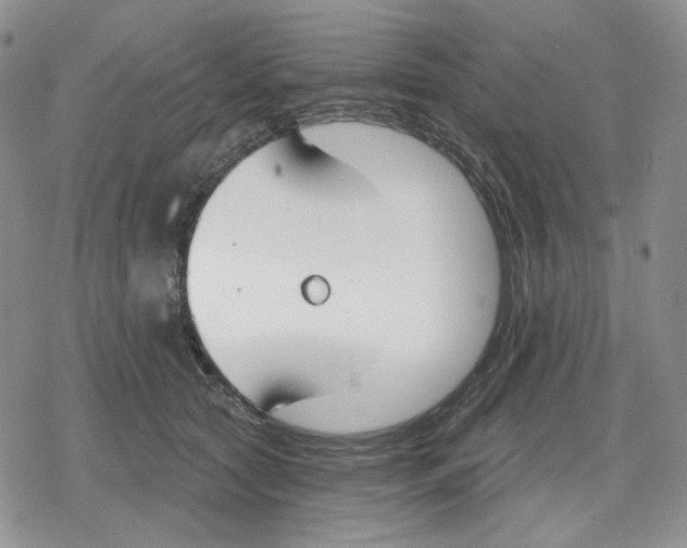 X0000079310561200612151755