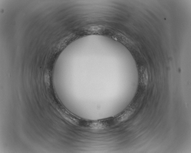 X0000079310562200612151755