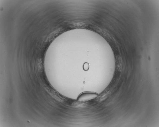 X0000079310563200612151755