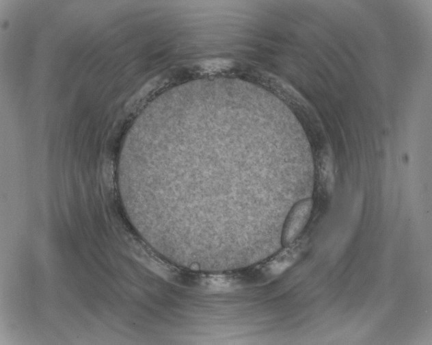 X0000079310565200612151755