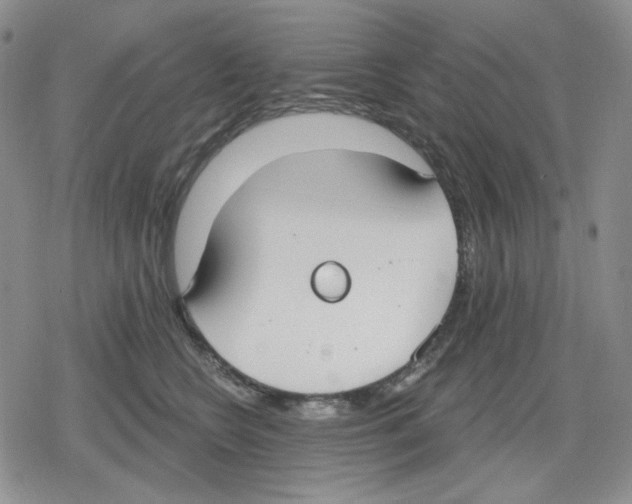 X0000079310566200612151755