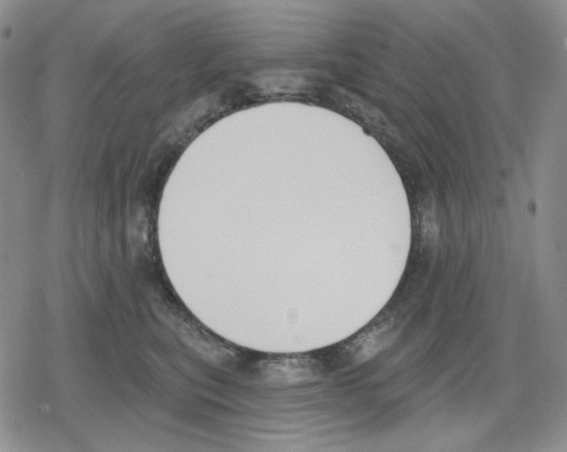 X0000079310567200612151755