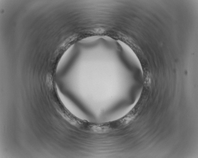 X0000079310568200612151755