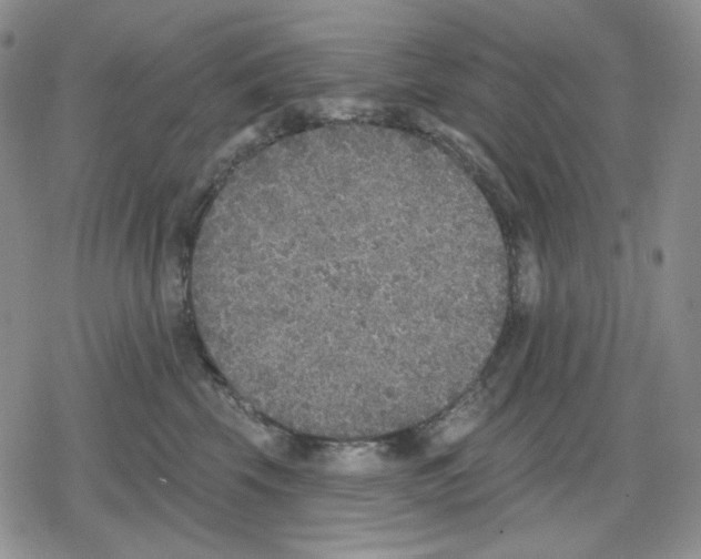 X0000079310569200612151755