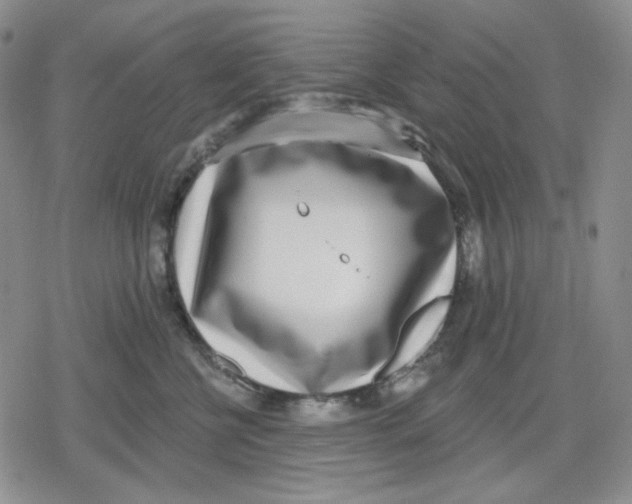 X0000079310570200612151755