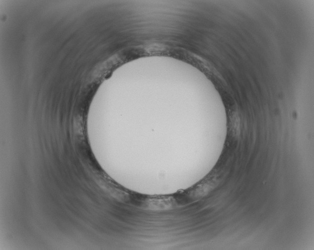 X0000079310571200612151755