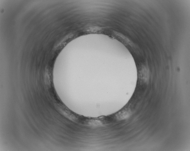 X0000079310572200612151755