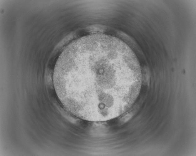 X0000079310573200612151755