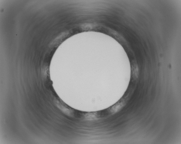 X0000079310574200612151755